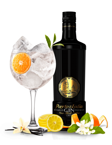 GIN PUERTO DE INDIAS PURE BLACK EDITION Z KIELISZKIEM