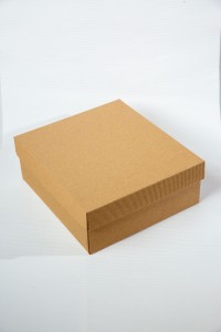 PUDEŁKO PREZENTOWE EKO PRĄŻKI  260x250x100 mm