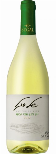 Shell Segal's white dry