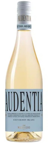 Audentia Sauvignon blanc