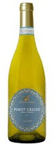 Antica-Vigna-Pinot-Grigio.jpg