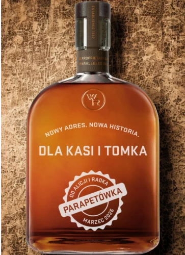 Wizualizacja 1.png