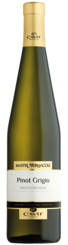 Pinot Grigio Mastri Vernacoli