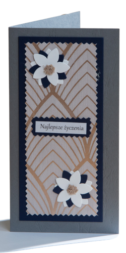N02.png